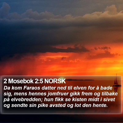 2 Mosebok 2:5 NORSK Bible Verse Image