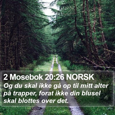 2 Mosebok 20:26 NORSK Bible Verse Image