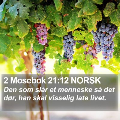 2 Mosebok 21:12 NORSK Bible Verse Image