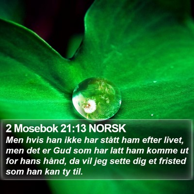 2 Mosebok 21:13 NORSK Bible Verse Image