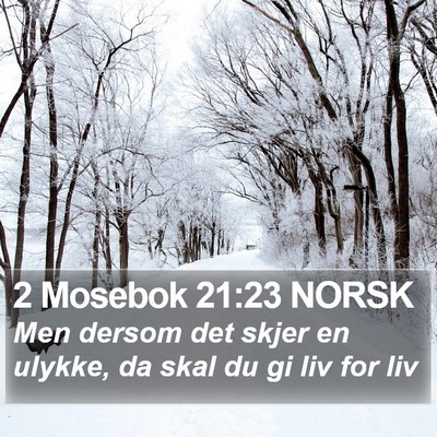2 Mosebok 21:23 NORSK Bible Verse Image