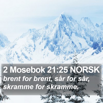 2 Mosebok 21:25 NORSK Bible Verse Image