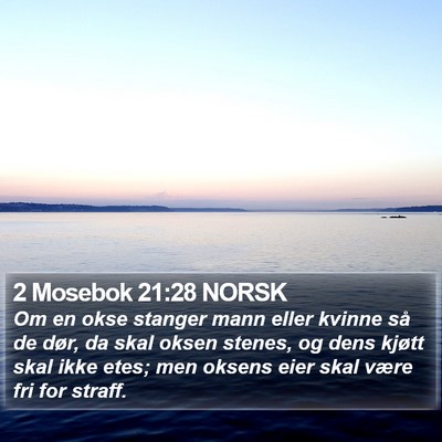 2 Mosebok 21:28 NORSK Bible Verse Image