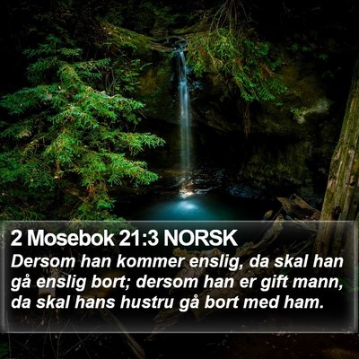 2 Mosebok 21:3 NORSK Bible Verse Image