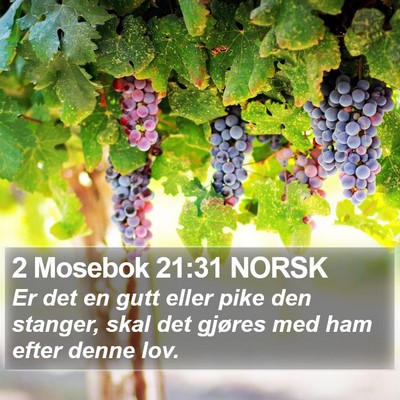 2 Mosebok 21:31 NORSK Bible Verse Image