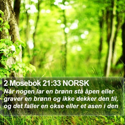 2 Mosebok 21:33 NORSK Bible Verse Image