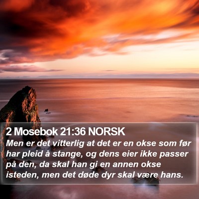 2 Mosebok 21:36 NORSK Bible Verse Image