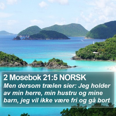 2 Mosebok 21:5 NORSK Bible Verse Image
