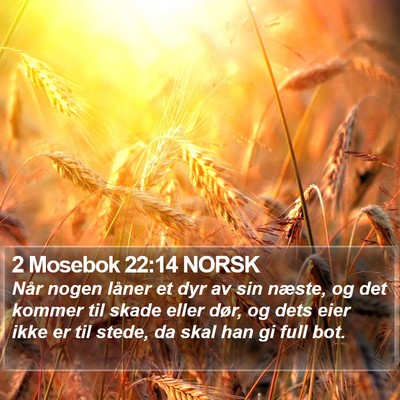 2 Mosebok 22:14 NORSK Bible Verse Image