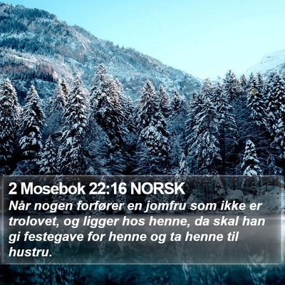 2 Mosebok 22:16 NORSK Bible Verse Image