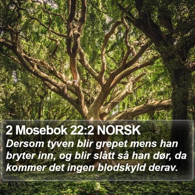 2 Mosebok 22:2 NORSK Bible Verse Image