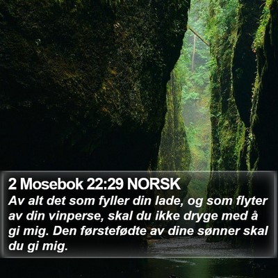 2 Mosebok 22:29 NORSK Bible Verse Image