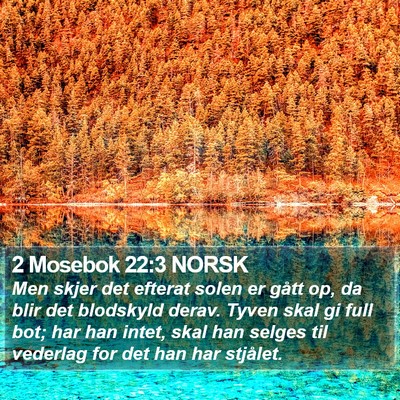 2 Mosebok 22:3 NORSK Bible Verse Image