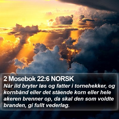 2 Mosebok 22:6 NORSK Bible Verse Image