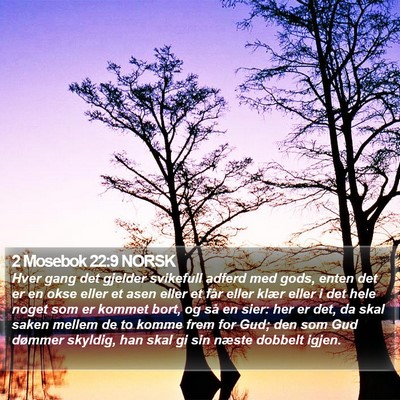 2 Mosebok 22:9 NORSK Bible Verse Image