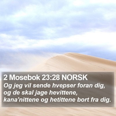 2 Mosebok 23:28 NORSK Bible Verse Image