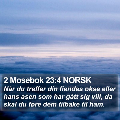 2 Mosebok 23:4 NORSK Bible Verse Image