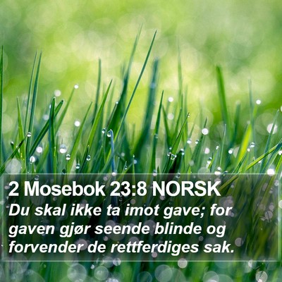 2 Mosebok 23:8 NORSK Bible Verse Image