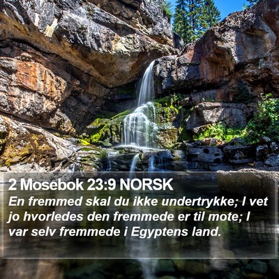 2 Mosebok 23:9 NORSK Bible Verse Image