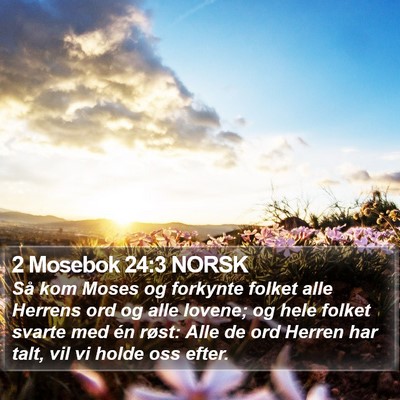 2 Mosebok 24:3 NORSK Bible Verse Image