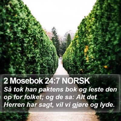 2 Mosebok 24:7 NORSK Bible Verse Image