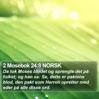 2 Mosebok 24:8 NORSK Bible Verse Image