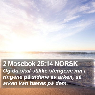 2 Mosebok 25:14 NORSK Bible Verse Image