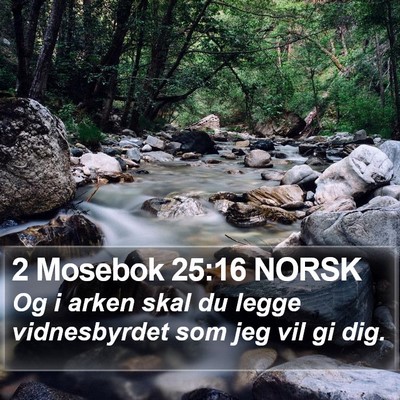 2 Mosebok 25:16 NORSK Bible Verse Image