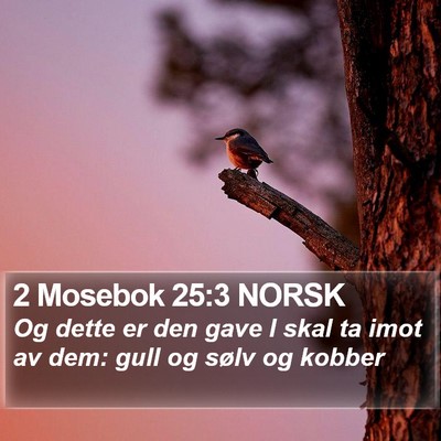 2 Mosebok 25:3 NORSK Bible Verse Image