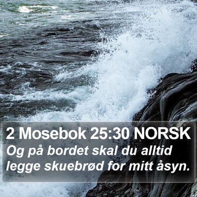 2 Mosebok 25:30 NORSK Bible Verse Image