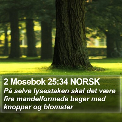 2 Mosebok 25:34 NORSK Bible Verse Image