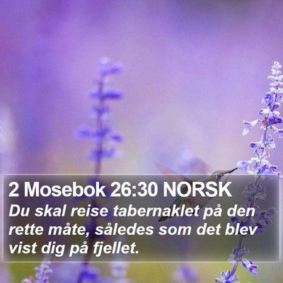 2 Mosebok 26:30 NORSK Bible Verse Image