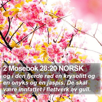 2 Mosebok 28:20 NORSK Bible Verse Image