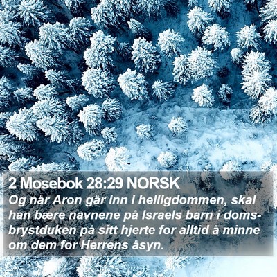 2 Mosebok 28:29 NORSK Bible Verse Image
