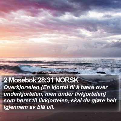 2 Mosebok 28:31 NORSK Bible Verse Image