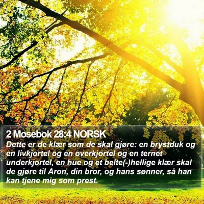 2 Mosebok 28:4 NORSK Bible Verse Image