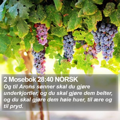 2 Mosebok 28:40 NORSK Bible Verse Image