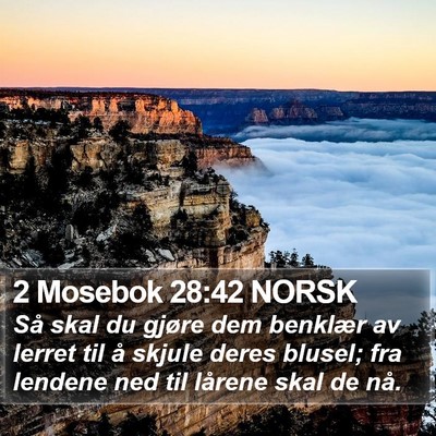 2 Mosebok 28:42 NORSK Bible Verse Image