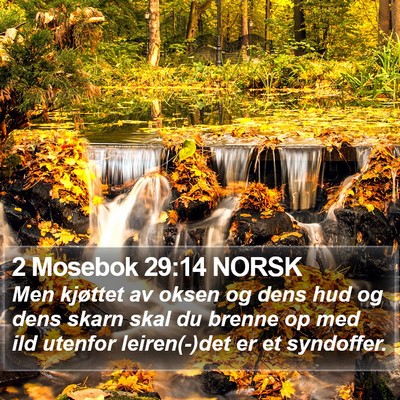 2 Mosebok 29:14 NORSK Bible Verse Image