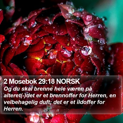 2 Mosebok 29:18 NORSK Bible Verse Image