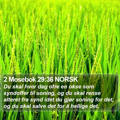 2 Mosebok 29:36 NORSK Bible Verse Image
