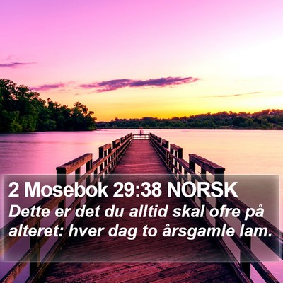2 Mosebok 29:38 NORSK Bible Verse Image