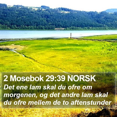 2 Mosebok 29:39 NORSK Bible Verse Image