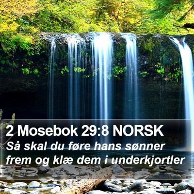 2 Mosebok 29:8 NORSK Bible Verse Image