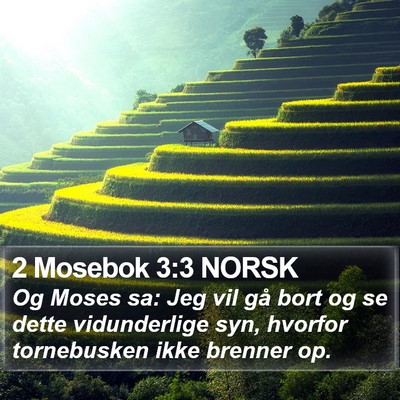 2 Mosebok 3:3 NORSK Bible Verse Image