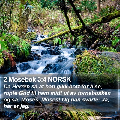 2 Mosebok 3:4 NORSK Bible Verse Image