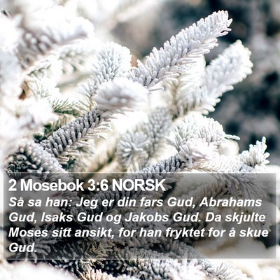 2 Mosebok 3:6 NORSK Bible Verse Image