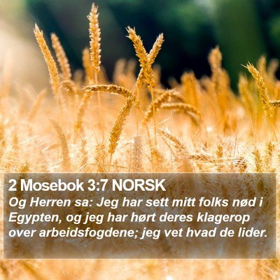 2 Mosebok 3:7 NORSK Bible Verse Image