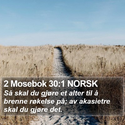2 Mosebok 30:1 NORSK Bible Verse Image