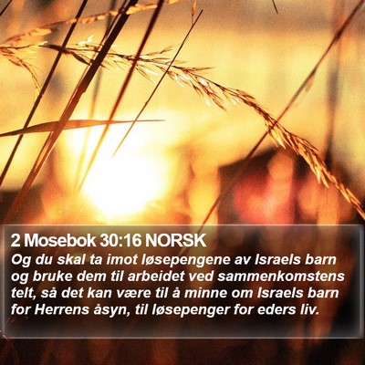 2 Mosebok 30:16 NORSK Bible Verse Image
